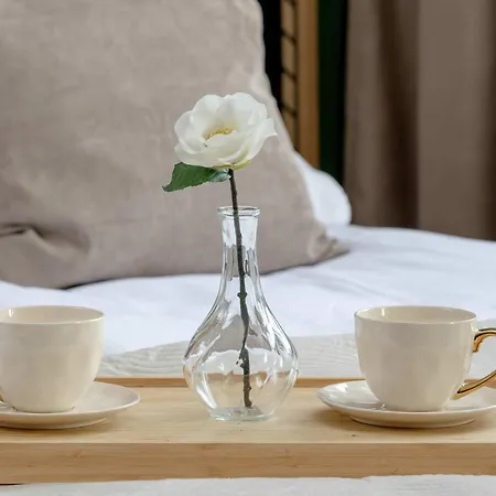 Elegant For 2 Guests Near Spodek By Renters Apartment